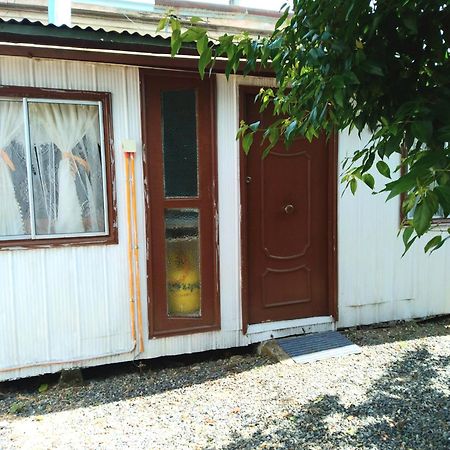 Cabana Independiente No Pareada Lugar Tranquilo Valdivia Ngoại thất bức ảnh